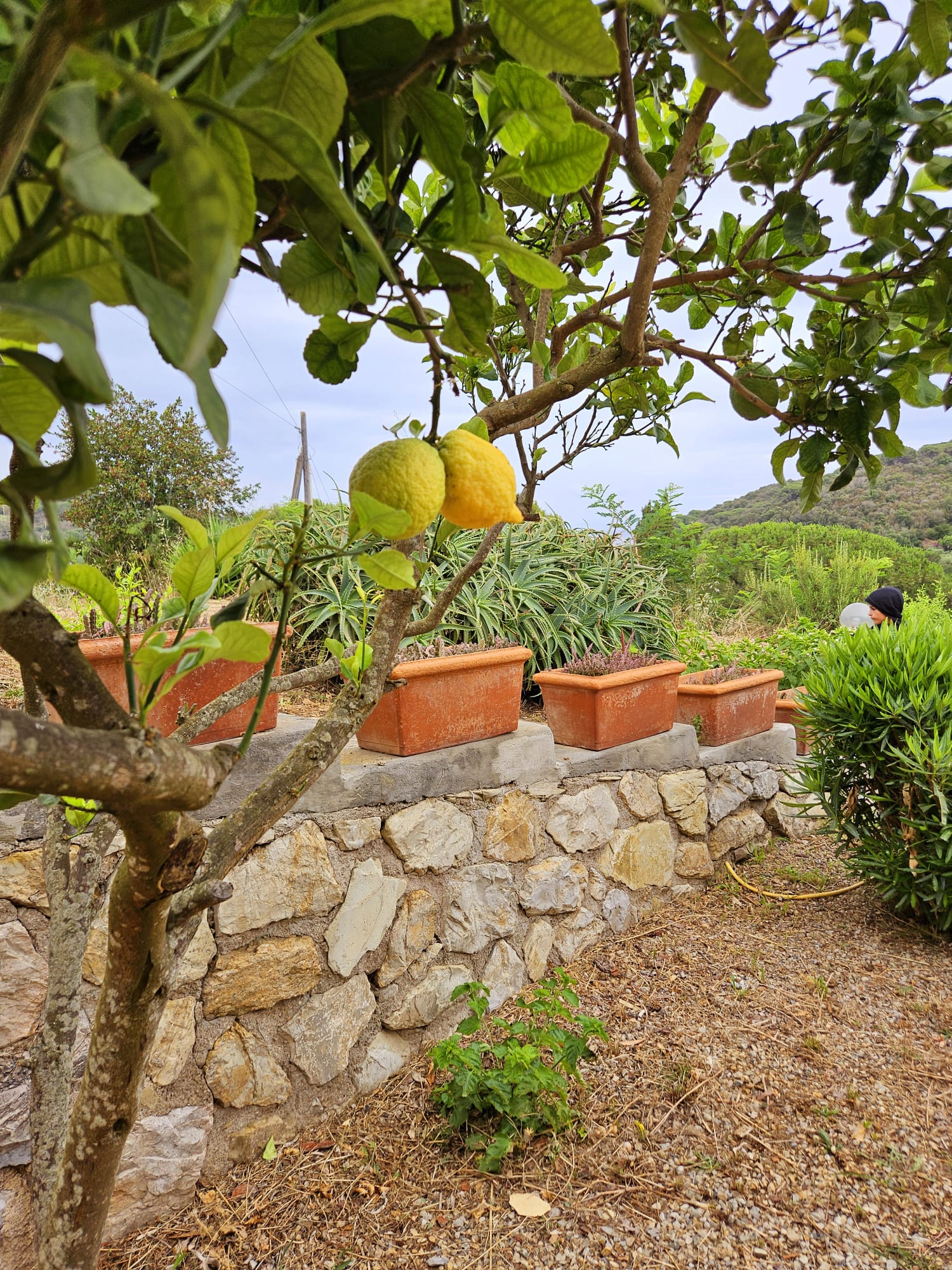 A Casa di Titti